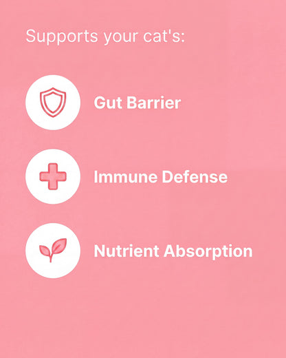 Kibo Bovine Colostrum Complete Gut & Digestive Support